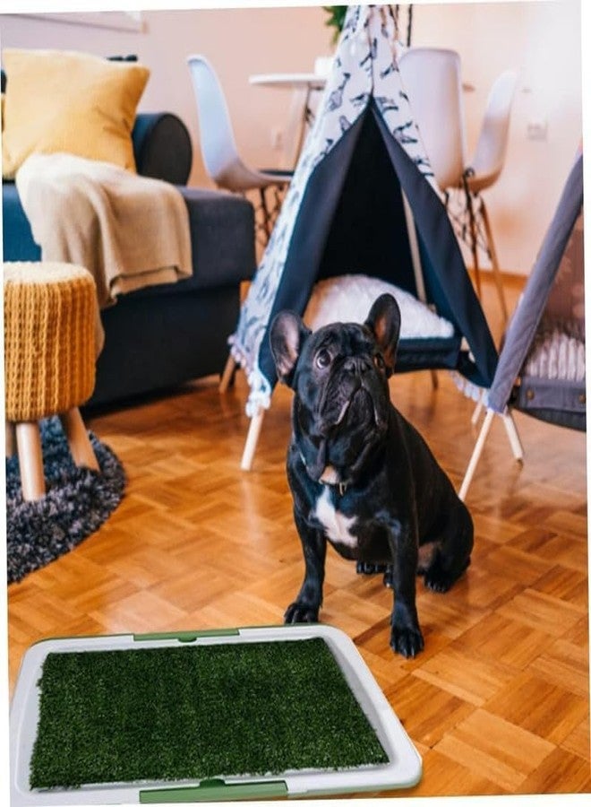 DGOOLS Dog Toilet Mat Puppy Training Pads Indoor Outdoor Puppy Potty Tray Grass Pad Pee Pad with Tray Large Dog Litter Box Artificial Grass for Balcony Reusable Pet Potty Pad Easy Clean-Up (1 Pcs) - Image 4